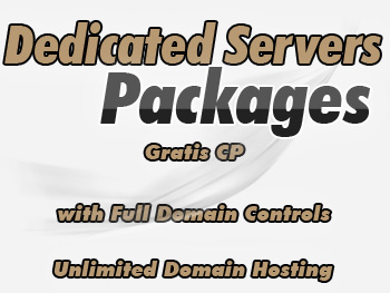 Affordable dedicated servers hosting service